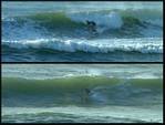 (04) montage (bob hall misc surfers).jpg    (950x720)    307 KB                              click to see enlarged picture